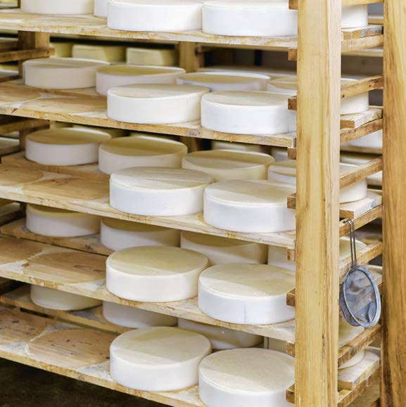 Food processing industry